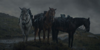 extant_AKnightOfTheSevenKingdoms_1x01-TheHedgeKnight_00019