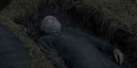 extant_AKnightOfTheSevenKingdoms_1x01-TheHedgeKnight_00190