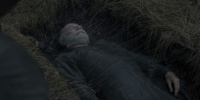 extant_AKnightOfTheSevenKingdoms_1x01-TheHedgeKnight_00191