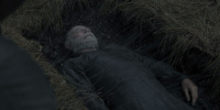 extant_AKnightOfTheSevenKingdoms_1x01-TheHedgeKnight_00193