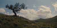 extant_AKnightOfTheSevenKingdoms_1x01-TheHedgeKnight_00239