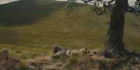 extant_AKnightOfTheSevenKingdoms_1x01-TheHedgeKnight_00245