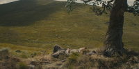 extant_AKnightOfTheSevenKingdoms_1x01-TheHedgeKnight_00246