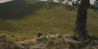extant_AKnightOfTheSevenKingdoms_1x01-TheHedgeKnight_00247