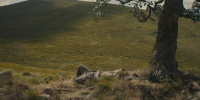 extant_AKnightOfTheSevenKingdoms_1x01-TheHedgeKnight_00248