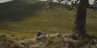 extant_AKnightOfTheSevenKingdoms_1x01-TheHedgeKnight_00249