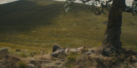 extant_AKnightOfTheSevenKingdoms_1x01-TheHedgeKnight_00250