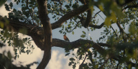 extant_AKnightOfTheSevenKingdoms_1x01-TheHedgeKnight_00426