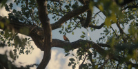 extant_AKnightOfTheSevenKingdoms_1x01-TheHedgeKnight_00428