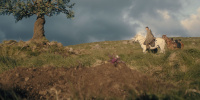 extant_AKnightOfTheSevenKingdoms_1x01-TheHedgeKnight_00443