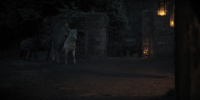 extant_AKnightOfTheSevenKingdoms_1x01-TheHedgeKnight_00515