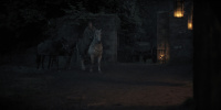 extant_AKnightOfTheSevenKingdoms_1x01-TheHedgeKnight_00517