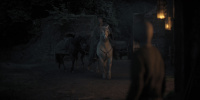 extant_AKnightOfTheSevenKingdoms_1x01-TheHedgeKnight_00522