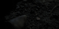 extant_AKnightOfTheSevenKingdoms_1x01-TheHedgeKnight_00951