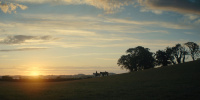extant_AKnightOfTheSevenKingdoms_1x01-TheHedgeKnight_00991