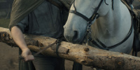 extant_AKnightOfTheSevenKingdoms_1x01-TheHedgeKnight_01588