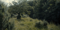 extant_AKnightOfTheSevenKingdoms_1x01-TheHedgeKnight_01922