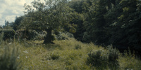 extant_AKnightOfTheSevenKingdoms_1x01-TheHedgeKnight_01923