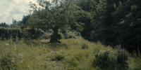 extant_AKnightOfTheSevenKingdoms_1x01-TheHedgeKnight_01924