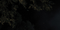 extant_AKnightOfTheSevenKingdoms_1x01-TheHedgeKnight_03722
