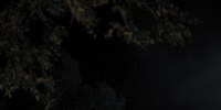 extant_AKnightOfTheSevenKingdoms_1x01-TheHedgeKnight_03725