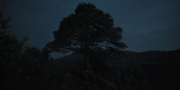 extant_AKnightOfTheSevenKingdoms_1x02-HardSaltBeef_00135