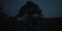 extant_AKnightOfTheSevenKingdoms_1x02-HardSaltBeef_00137