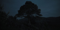 extant_AKnightOfTheSevenKingdoms_1x02-HardSaltBeef_00138