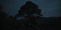 extant_AKnightOfTheSevenKingdoms_1x02-HardSaltBeef_00140