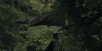 extant_AKnightOfTheSevenKingdoms_1x02-HardSaltBeef_00414