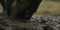 extant_AKnightOfTheSevenKingdoms_1x02-HardSaltBeef_01919