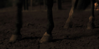 extant_AKnightOfTheSevenKingdoms_1x02-HardSaltBeef_02614