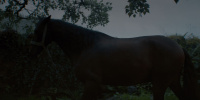 extant_AKnightOfTheSevenKingdoms_1x03-TheSquire_00054