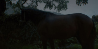 extant_AKnightOfTheSevenKingdoms_1x03-TheSquire_00055