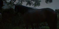 extant_AKnightOfTheSevenKingdoms_1x03-TheSquire_00056