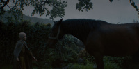 extant_AKnightOfTheSevenKingdoms_1x03-TheSquire_00060