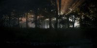 extant_AKnightOfTheSevenKingdoms_1x03-TheSquire_00110
