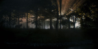 extant_AKnightOfTheSevenKingdoms_1x03-TheSquire_00111