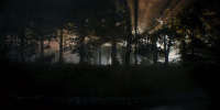 extant_AKnightOfTheSevenKingdoms_1x03-TheSquire_00112