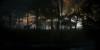 extant_AKnightOfTheSevenKingdoms_1x03-TheSquire_00115