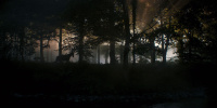 extant_AKnightOfTheSevenKingdoms_1x03-TheSquire_00116