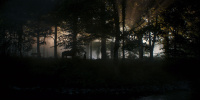 extant_AKnightOfTheSevenKingdoms_1x03-TheSquire_00118