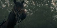 extant_AKnightOfTheSevenKingdoms_1x03-TheSquire_00141