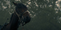 extant_AKnightOfTheSevenKingdoms_1x03-TheSquire_00143