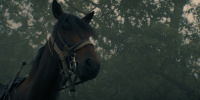 extant_AKnightOfTheSevenKingdoms_1x03-TheSquire_00187