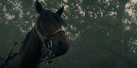 extant_AKnightOfTheSevenKingdoms_1x03-TheSquire_00189