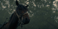 extant_AKnightOfTheSevenKingdoms_1x03-TheSquire_00190