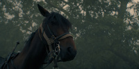 extant_AKnightOfTheSevenKingdoms_1x03-TheSquire_00191