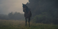 extant_AKnightOfTheSevenKingdoms_1x03-TheSquire_00217