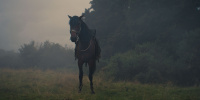 extant_AKnightOfTheSevenKingdoms_1x03-TheSquire_00219